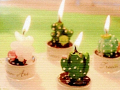 蠟燭模具專用硅橡膠（點火）